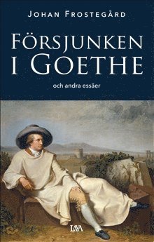 Frsjunken i Goethe och andra esser (pocket)