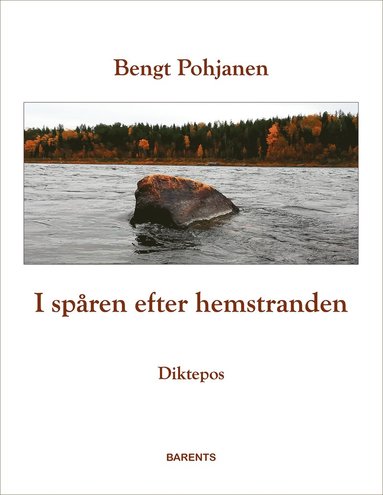 I spren efter hemstranden (pocket)