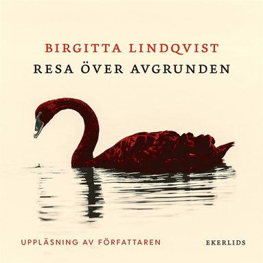 Resa ver avgrunden (e-bok)