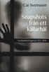 Snapshots från ett källarhål