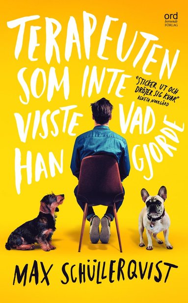 Terapeuten som inte visste vad han gjorde (pocket)