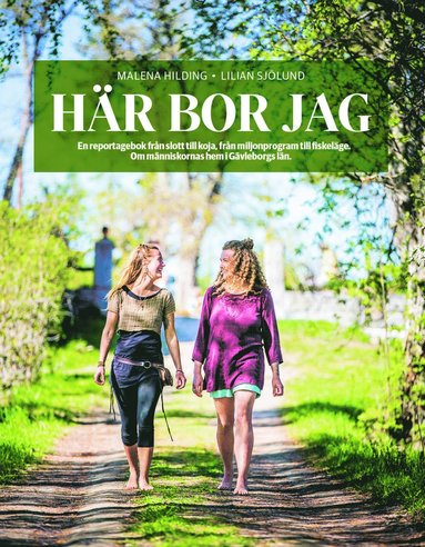 Hr bor jag : en reportageresa frn slott till ekohus, frn miljonprogram till fiskelge - om att vara hemma i Gvleborgs ln (pocket)
