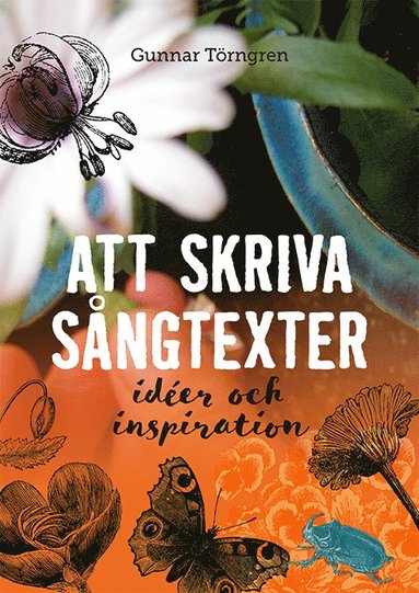 Att Skriva Sngtexter (inbunden)