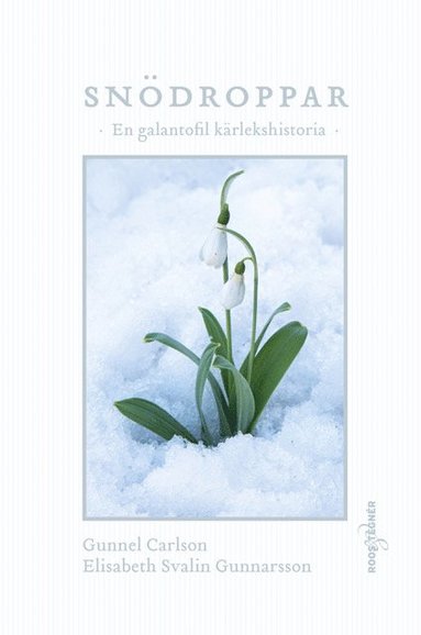Sndroppar : en galantofil krlekshistoria (hftad)
