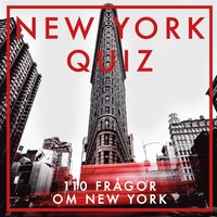 NEW YORK QUIZ (PDF) (e-bok)