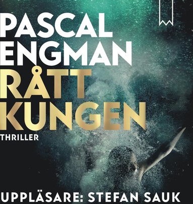 Rttkungen (e-bok)