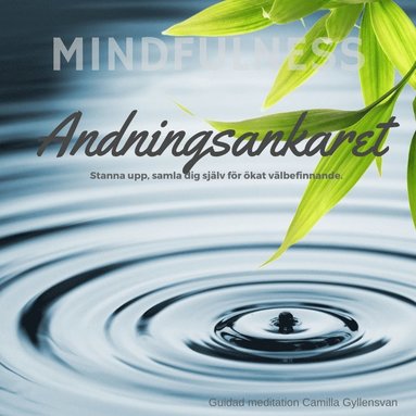 Andningsankaret  (ljudbok)