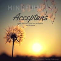 Acceptans  (ljudbok)