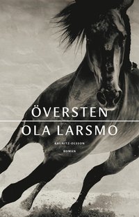 versten (inbunden)