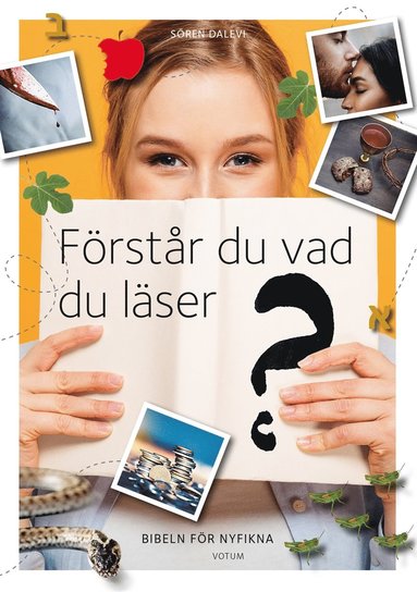 Förstår du vad du läser? Bibeln för nyfikna (kartonnage)