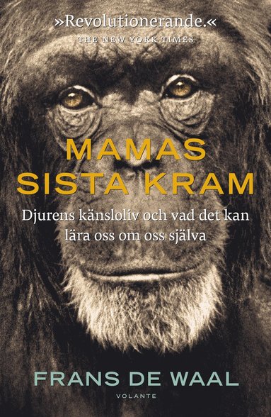 Mamas sista kram : djurens känsloliv och vad det kan lära oss om oss själva (pocket)