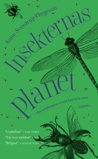 Insekternas planet (pocket)