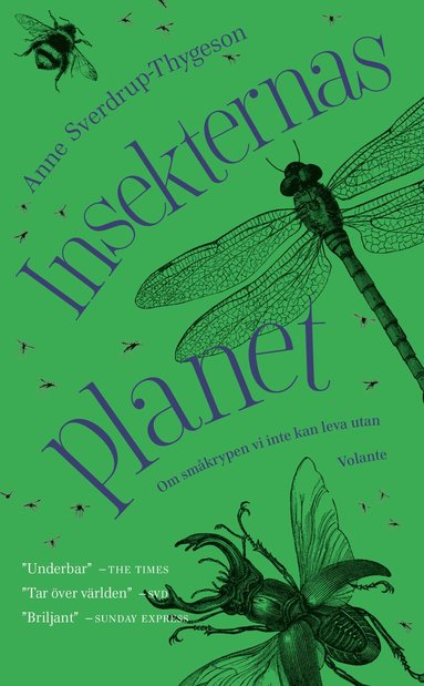 Insekternas planet (hftad)