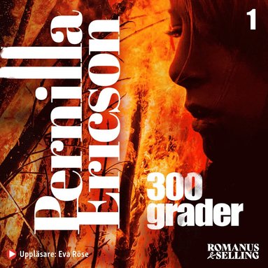 300 grader (ljudbok)