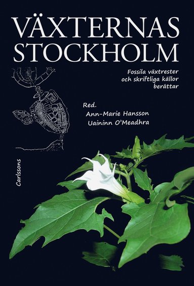 Vxternas Stockholm : fossila vxtrester och skriftliga kllor berttar (inbunden)