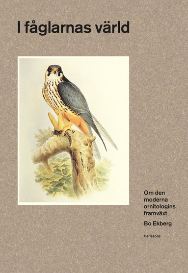 I fglarnas vrld : om den moderna ornitologins framvxt (inbunden)