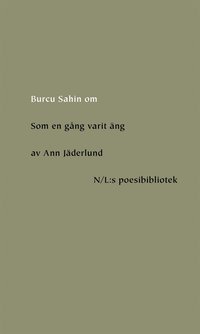 Om Som en gng varit ng av Ann Jderlund (e-bok)
