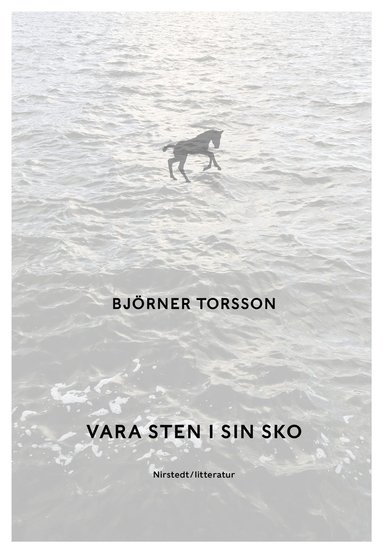 Vara sten i sin sko (inbunden)