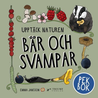 Svampar - pekbok (kartonnage)