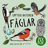 Omslag: Fåglar - pekbok