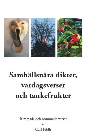 Samhllsnra dikter, vardagsverser och tankefrukter : rimmade och orimmade verser (storpocket)