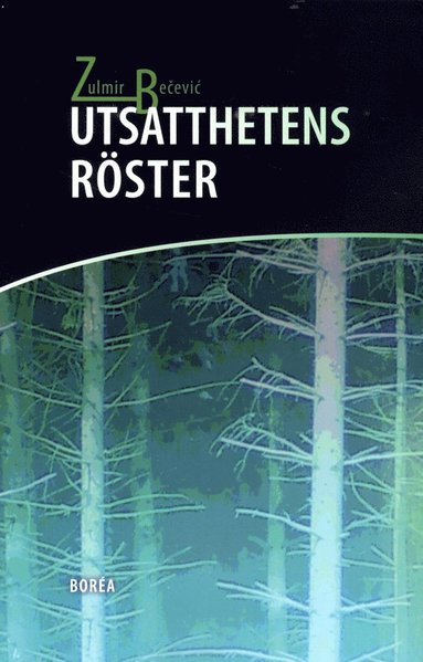 Utsatthetens rster (pocket)