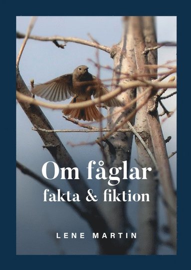 Om fglar, fakta & fiktion (inbunden)