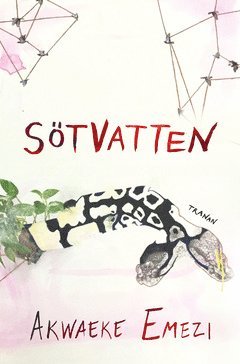 Stvatten (pocket)