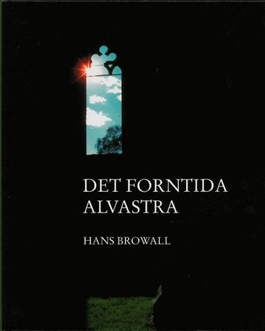 Det forntida Alvastra (pocket)
