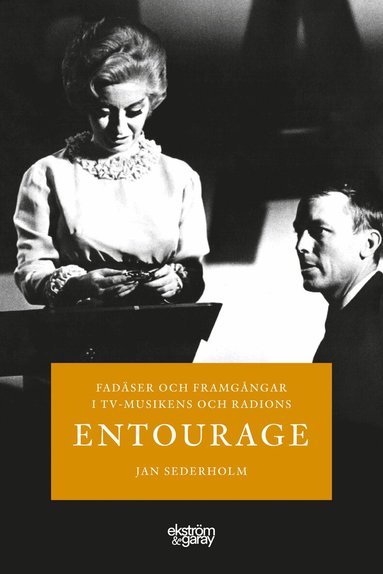 Fad�ser och framg�ngar i TV-musikens och radions entourage (pocket)
