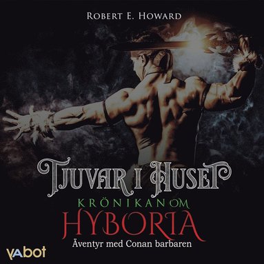 Tjuvar i huset (ljudbok)