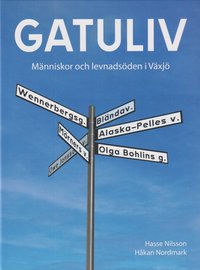 Gatuliv : människor och levnadsöden i Växjö som bok, ljudbok eller e-bok.