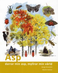 Asp : darrar min asp, myllrar min vrld (hftad)