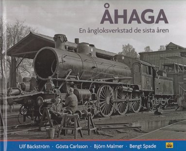 haga : en ngloksverkstad de sista ren (inbunden)
