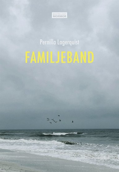 Familjeband (e-bok)