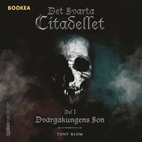 Dvrgakungens Son (ljudbok)