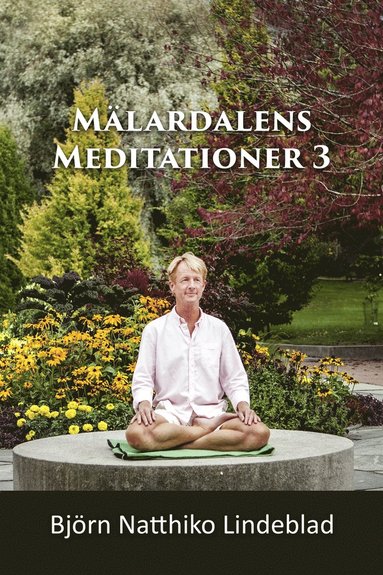 Mlardalens Meditationer 3 (ljudbok)