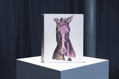 The horse, the robot & the immeasurable (hftad)