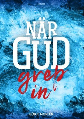 När Gud grep in (inbunden)
