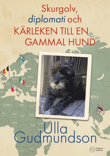 Skurgolv, diplomati och krleken till en gammal hund (pocket)