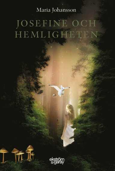 Josefine och hemligheten (kartonnage)