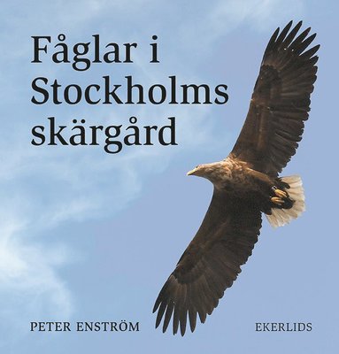 Fåglar i Stockholms skärgård (inbunden)