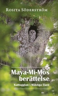 Maya-Mi-Mos berättelse : kattugglan i Mäktiga Eken (häftad)