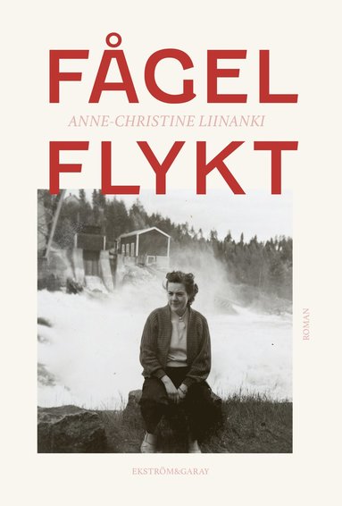 Fgelflykt (inbunden)