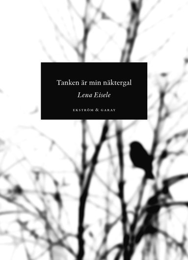 Tanken r min nktergal (pocket)