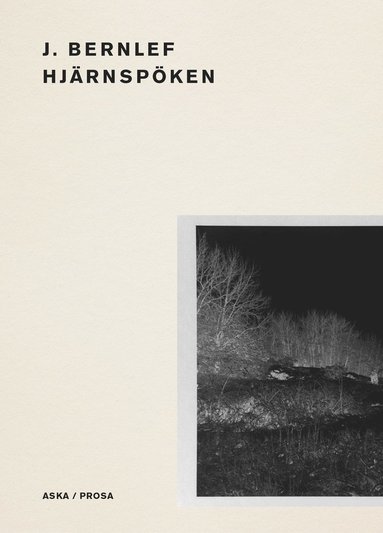 Hjrnspken (hftad)