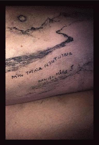 Min totala njutning (hftad)