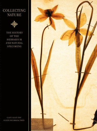 Collecting nature : a history of the herbarium and natural specimens (inbunden)