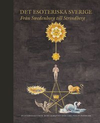 Det esoteriska Sverige : från Swedenborg till Strindberg som bok, ljudbok eller e-bok.