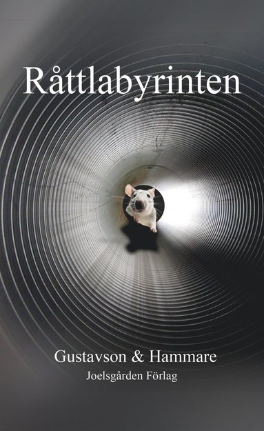 R�ttlabyrinten (pocket)